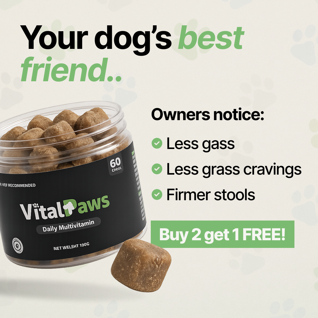 VitalPaws Facebook ad