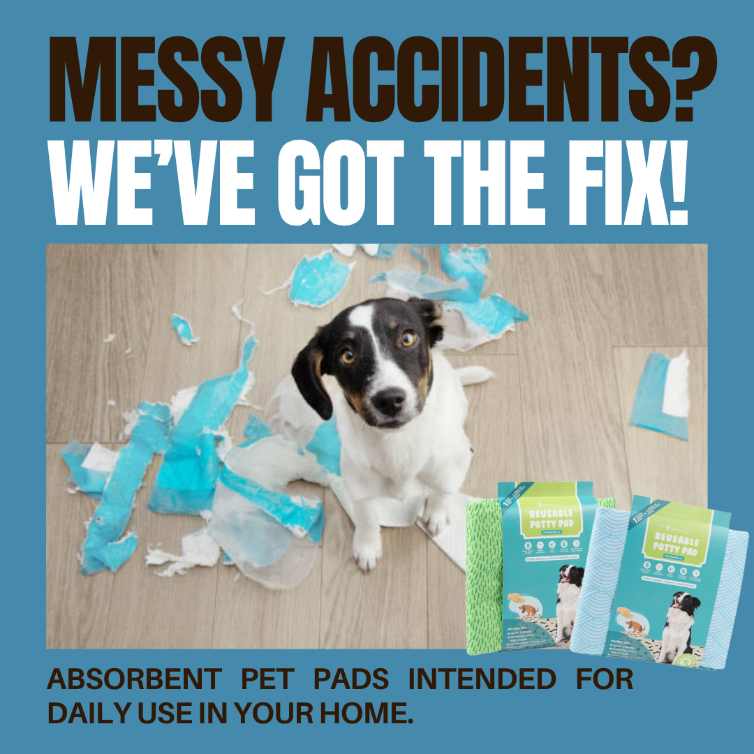 Potty Buddy Facebook ad