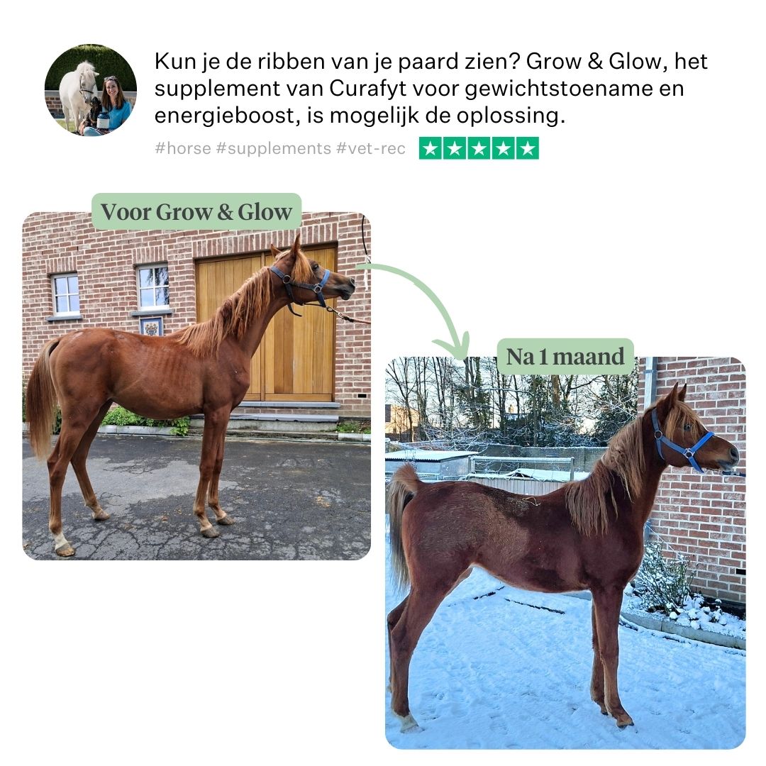 Vet Valerie Facebook ad: Voor magere paarden die wat extra ondersteuning kunnen…