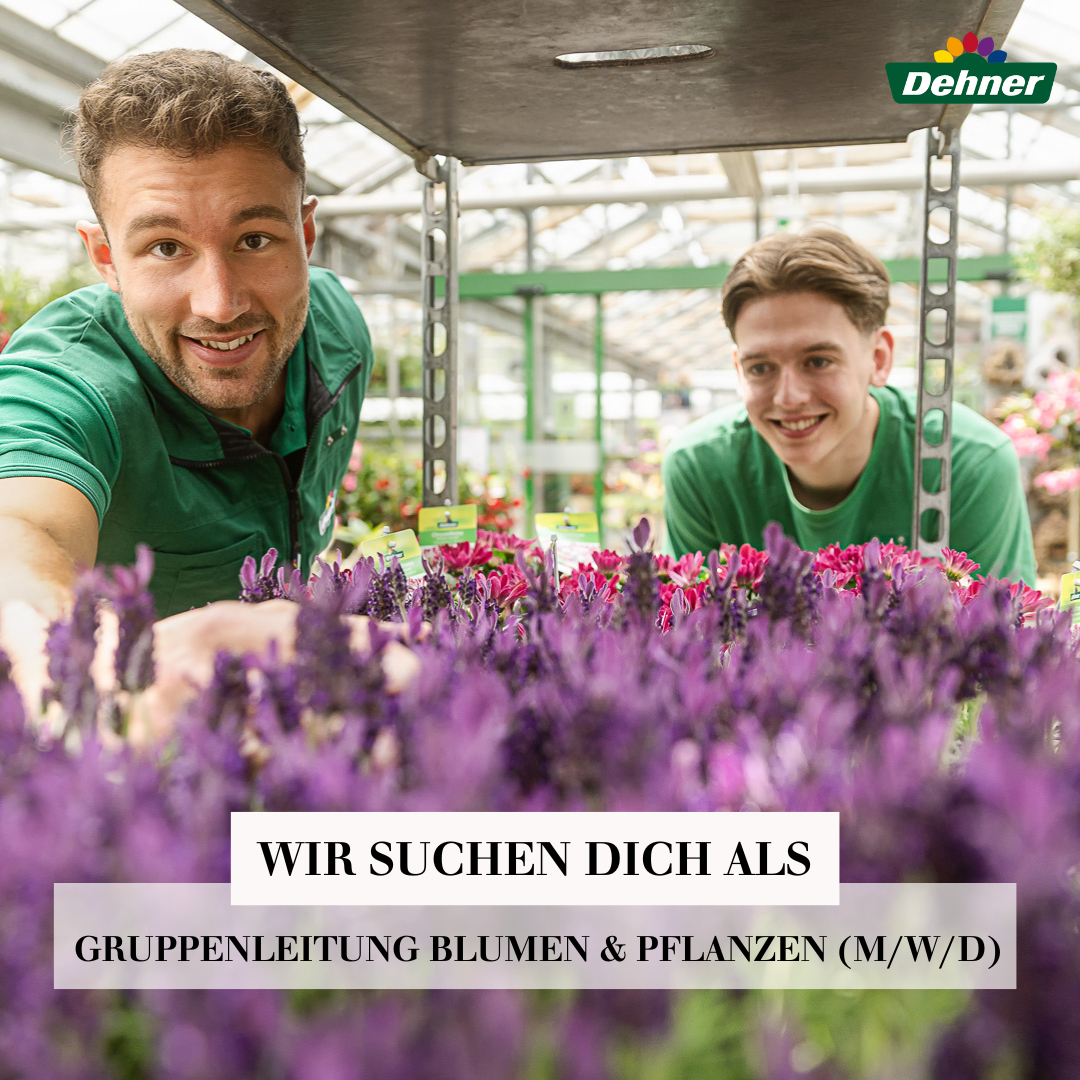 Dehner Karriere Facebook ad