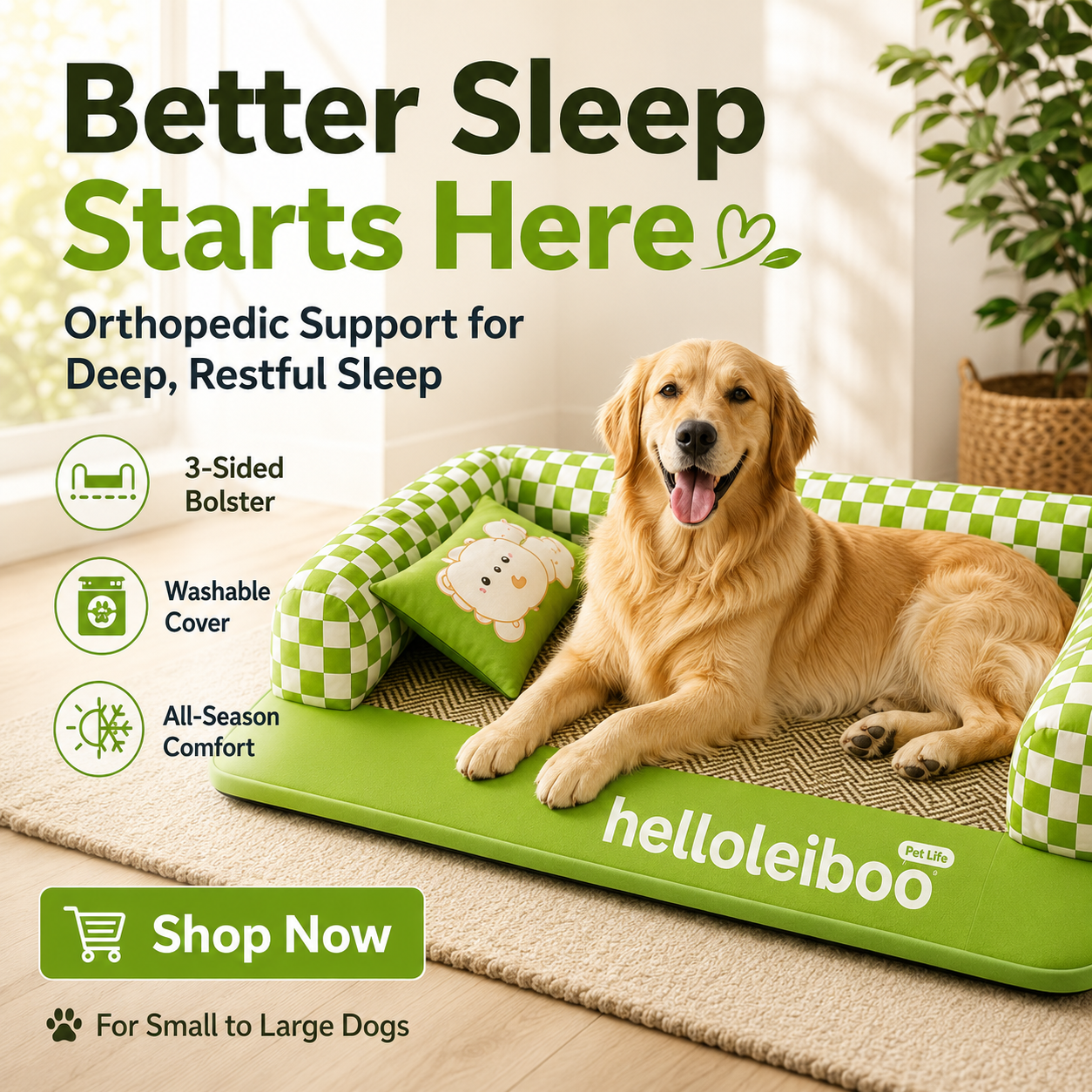 PupVoya Facebook ad