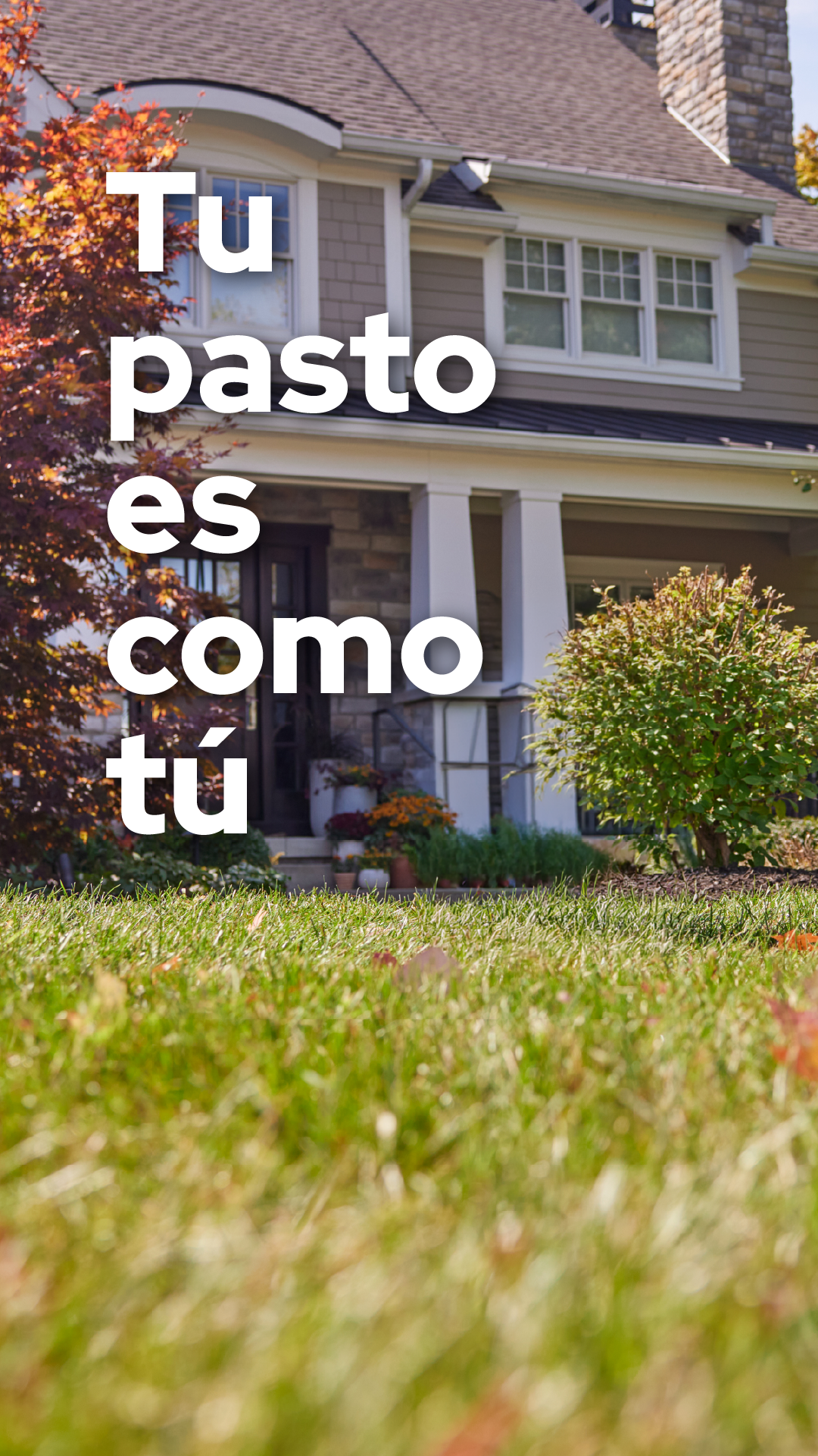 Wellness With Wade Facebook ad: Tu pasto también necesita más de una comida.