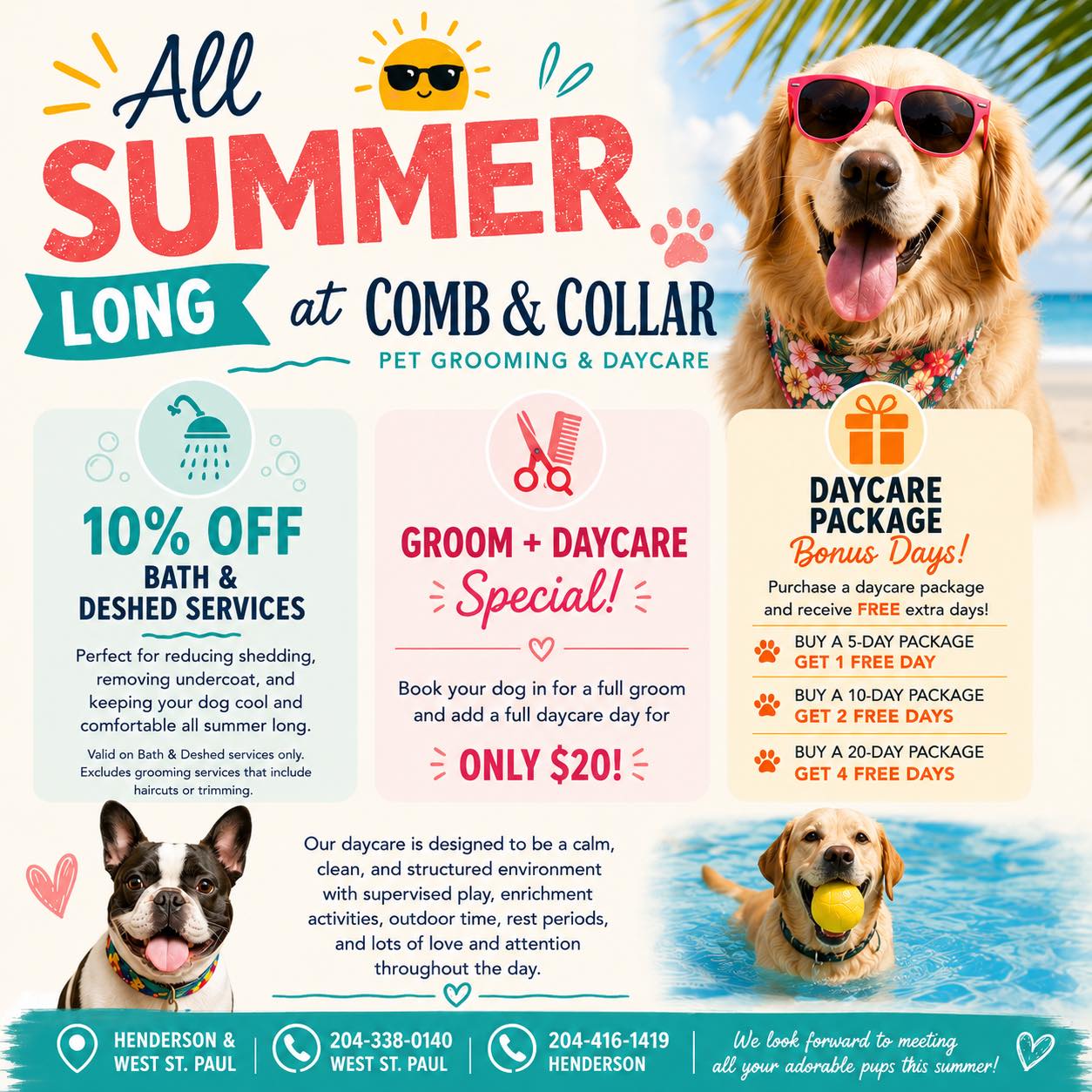 Comb & Collar Grooming Facebook ad: Comb & Collar Daycare & Grooming | Schedule Pet Grooming…