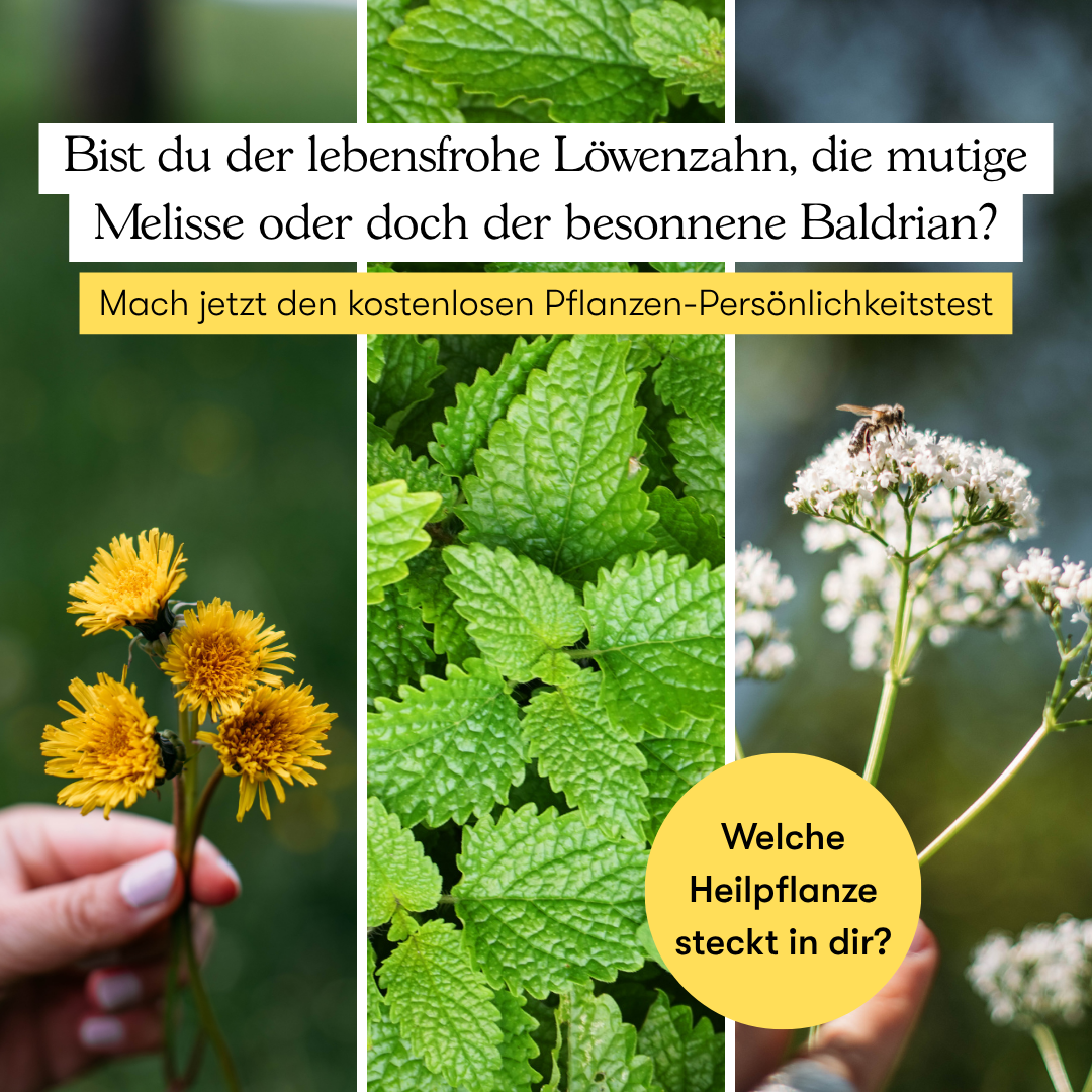 Heilpflanzen & Naturakademie Villa Natura Facebook ad