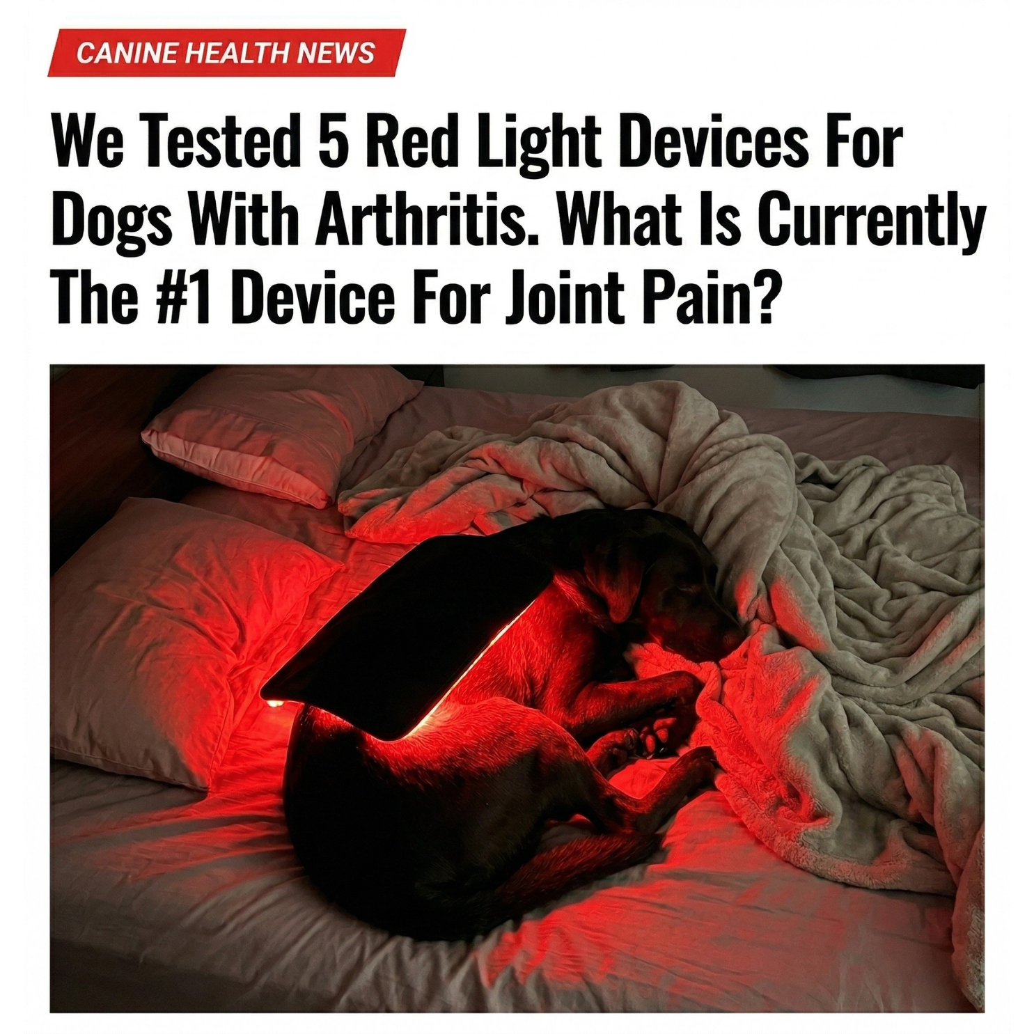 Dr. James Mitchell, DVM Facebook ad