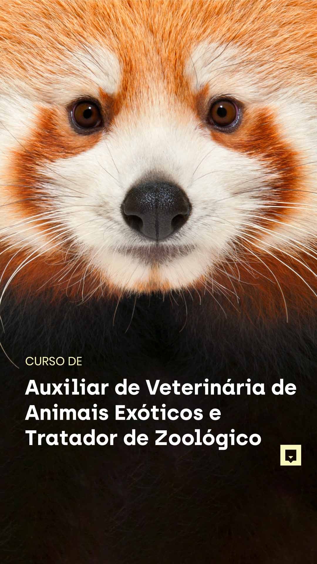 Nubika Portugal Facebook ad