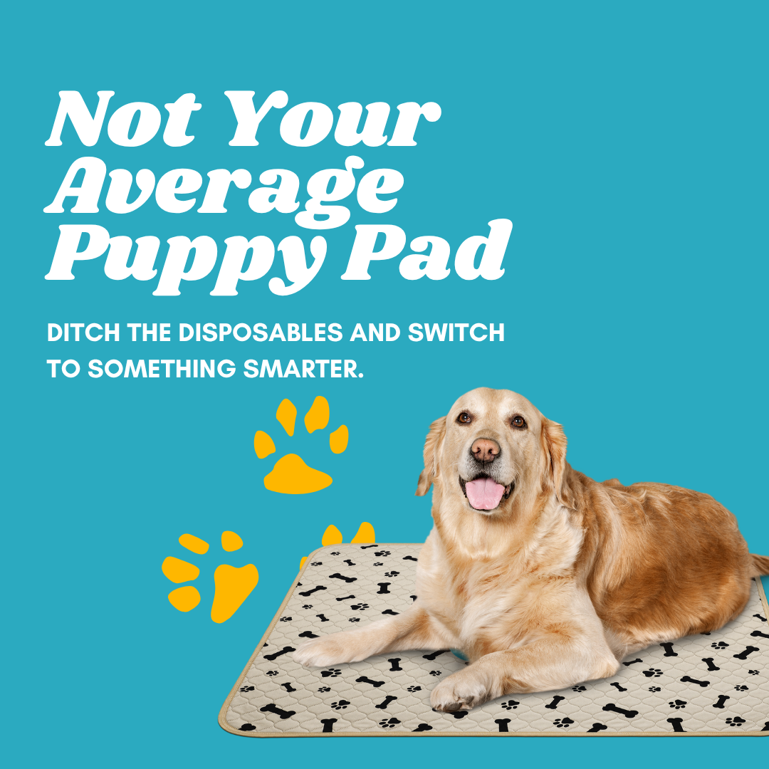 Potty Buddy Facebook ad