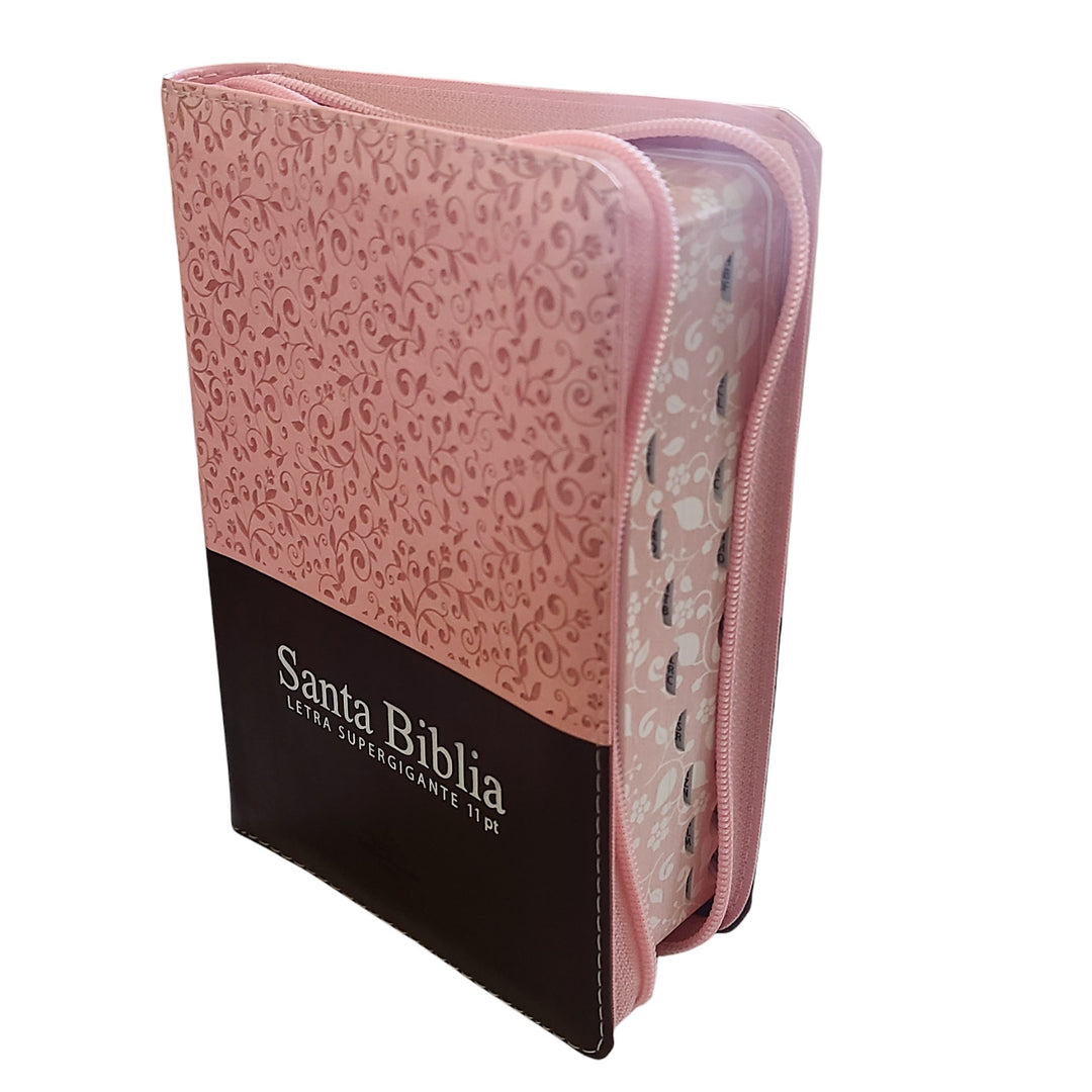 Sociedad Bíblica Chilena Facebook ad: ¡Encuentra tu biblia ideal en biblias.cl!