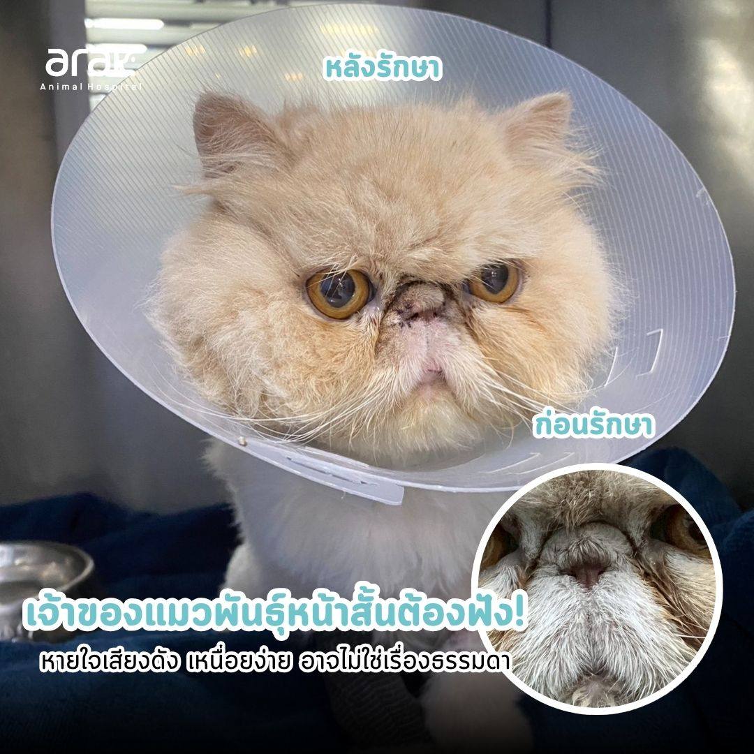 Arak Animal Hospital โรงพยาบาลสัตว์อารักษ์ Facebook ad