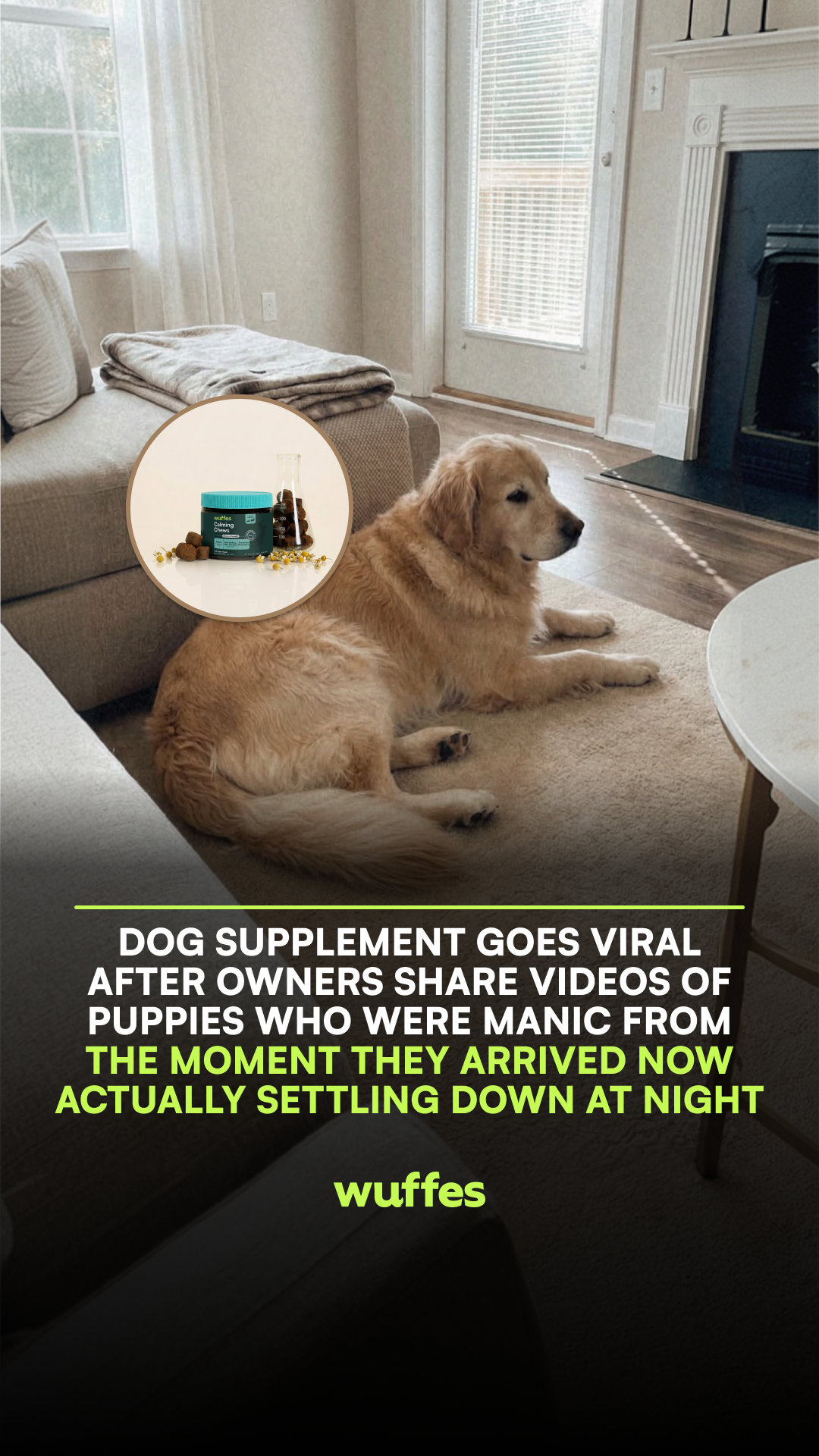 Wuffes Facebook ad