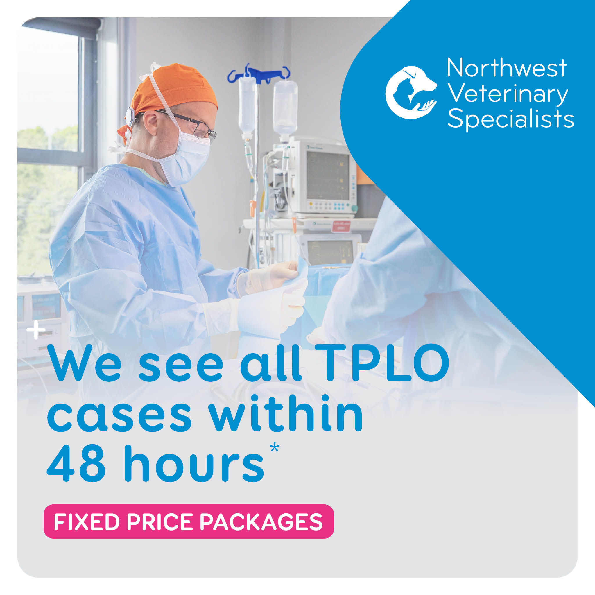 Northwest Veterinary Specialists Facebook ad