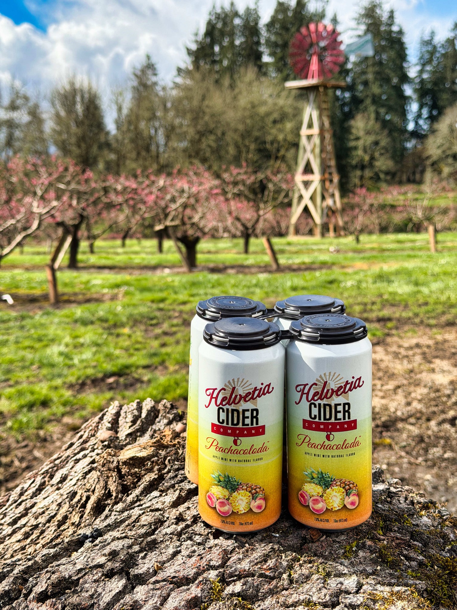 Helvetia Cider Company Facebook ad: You'll Forget What You Used to Drink