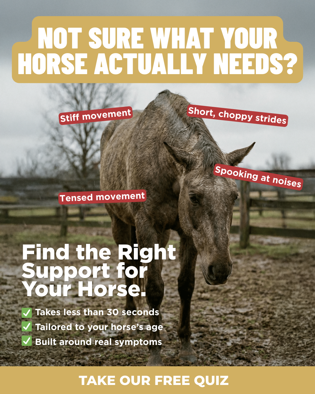 Equine Health Solutions Facebook ad