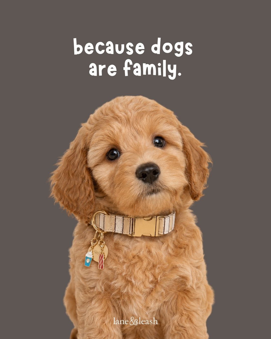 Lane&Leash Facebook ad