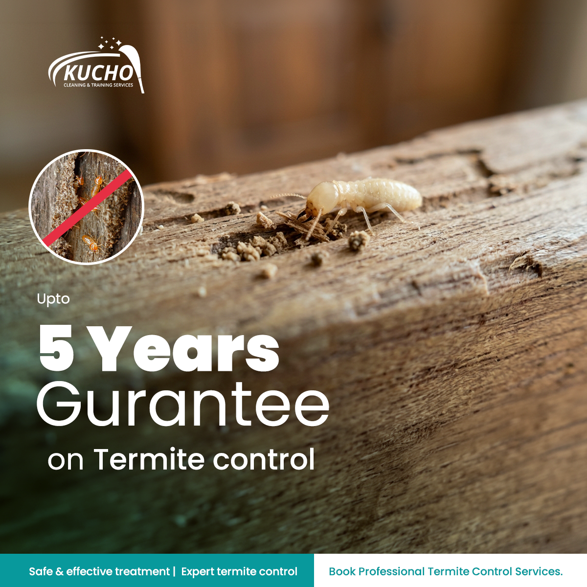 Kucho Cleaning Services Facebook ad: 100% Guaranteed Termite Treatment