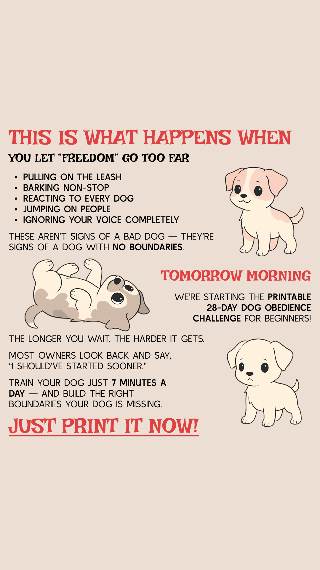 28 Day Dog Obedience Challenge Facebook ad