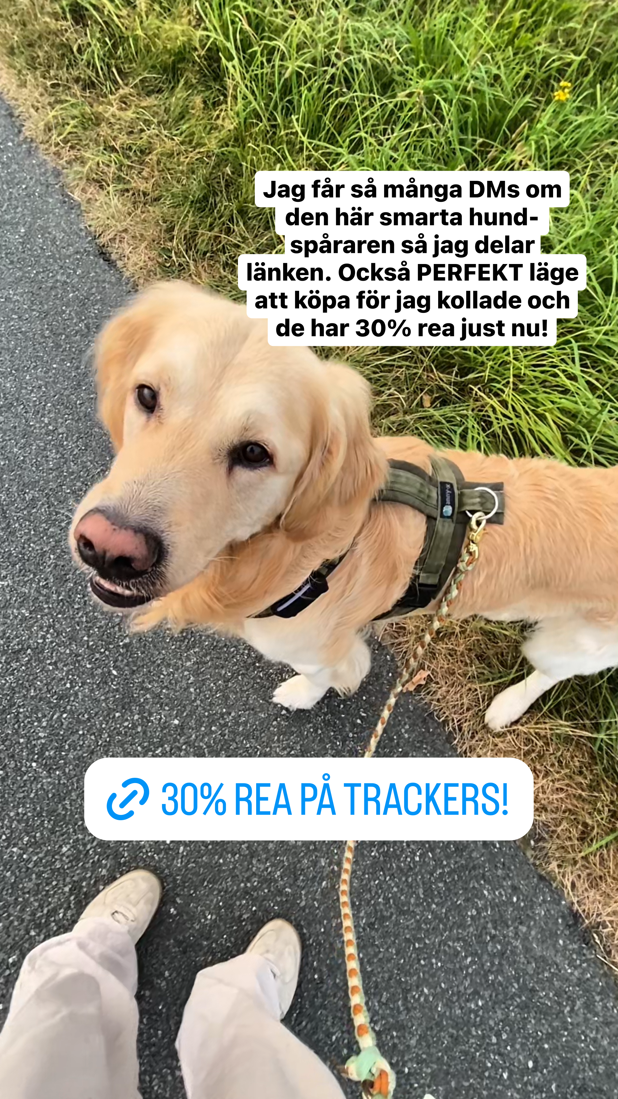 Tractive Facebook ad