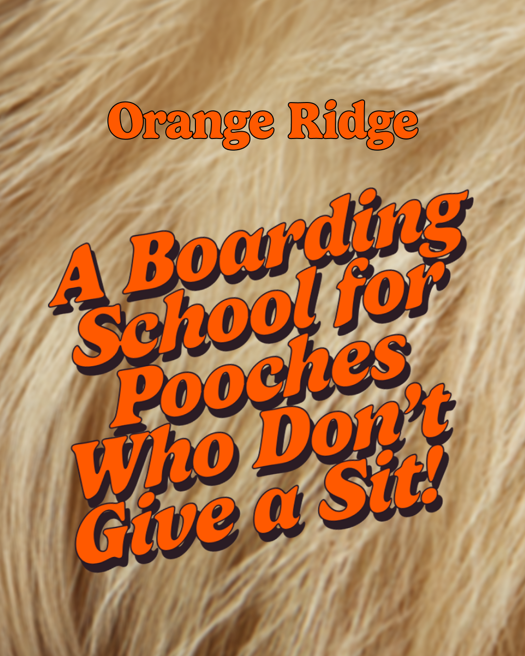 Orange Ridge Facebook ad