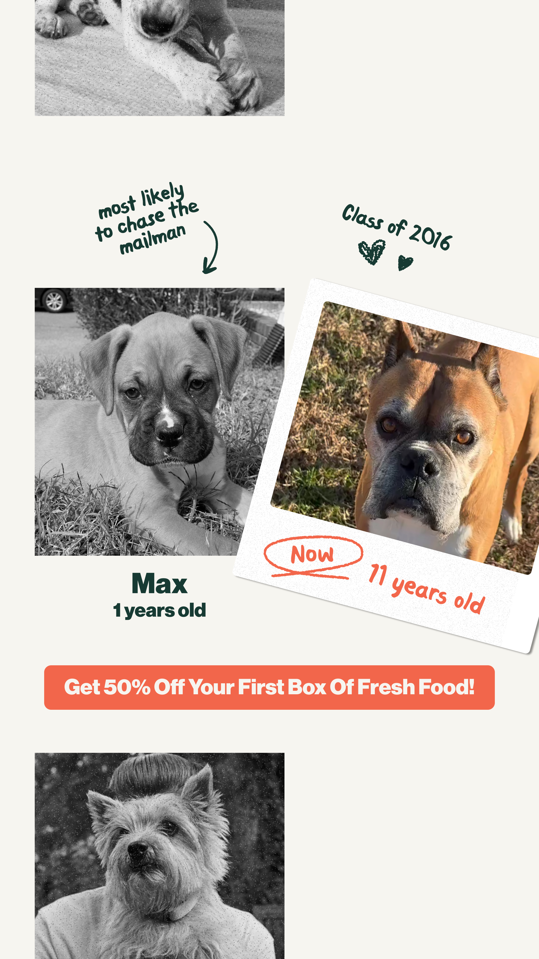 The Farmer's Dog Facebook ad