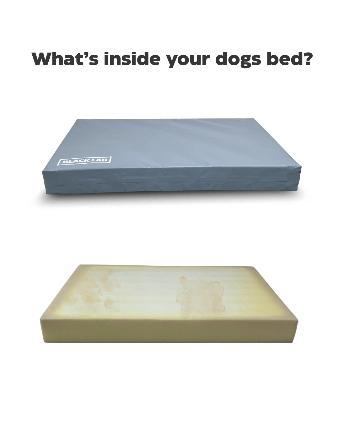 Black Lab Brands Facebook ad