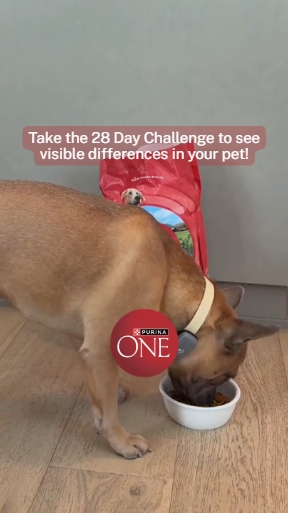 Purina ONE Facebook ad from Aug 27, 2026