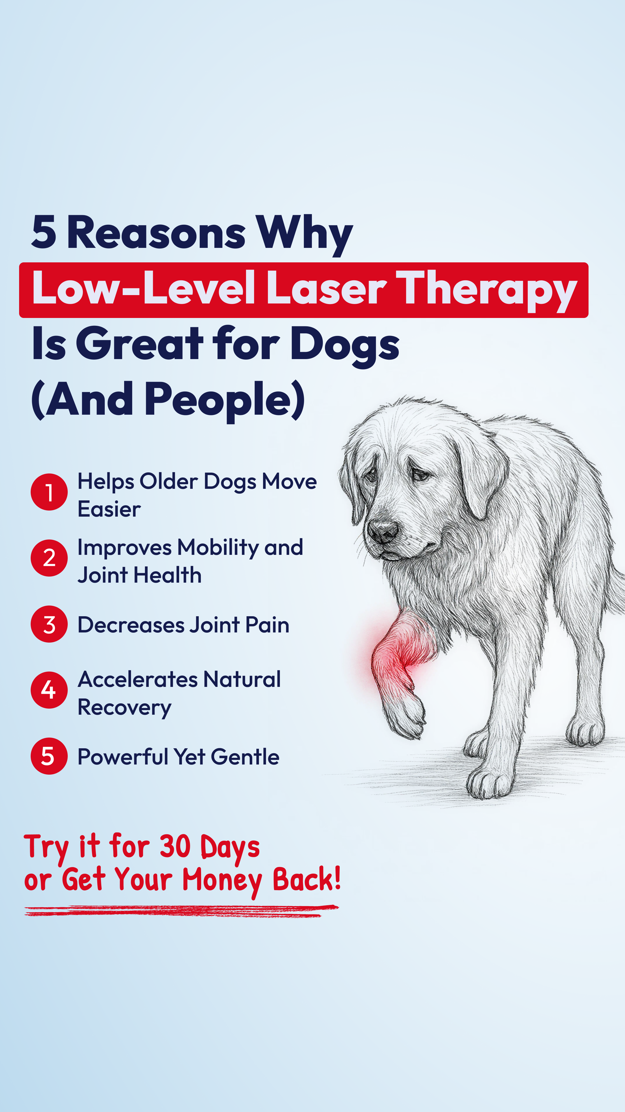Helio Pet Facebook ad