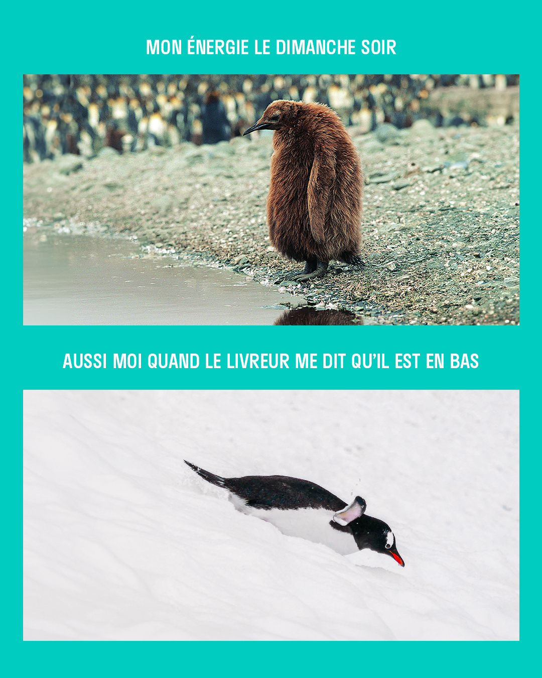 Deliveroo Facebook ad