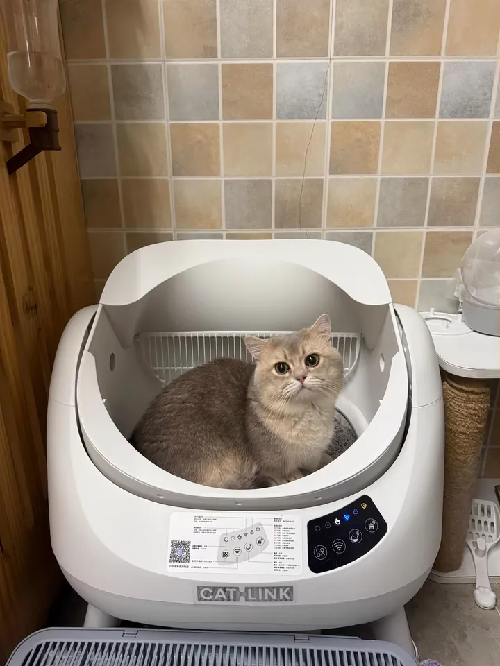 Catlink EU Facebook ad
