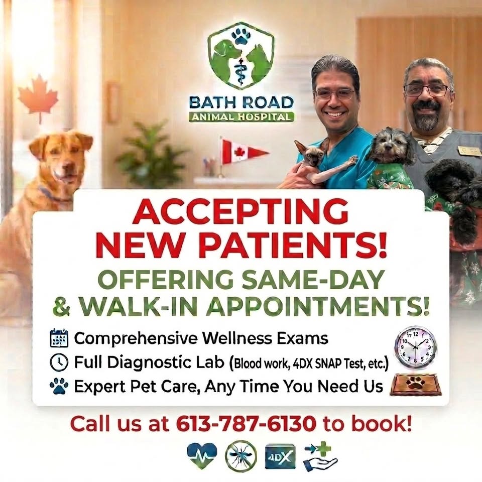 BATH ROAD Animal Hospital Facebook ad: Accepting New Patients