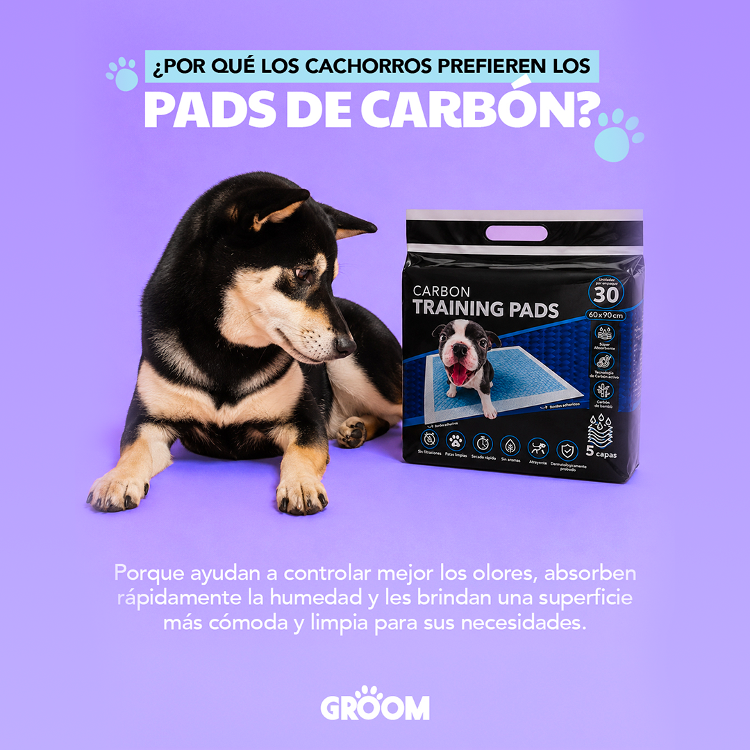 Groom Luxury Vet Facebook ad from Aug 13, 2026