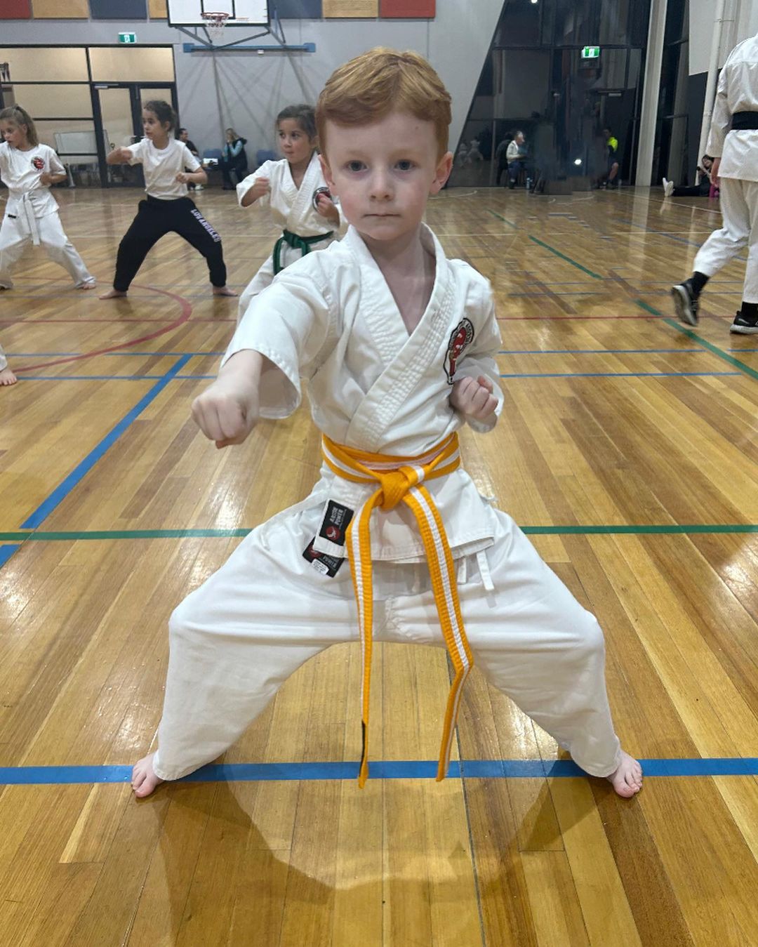 Shindo Karate Altona Meadows Dojo Facebook ad