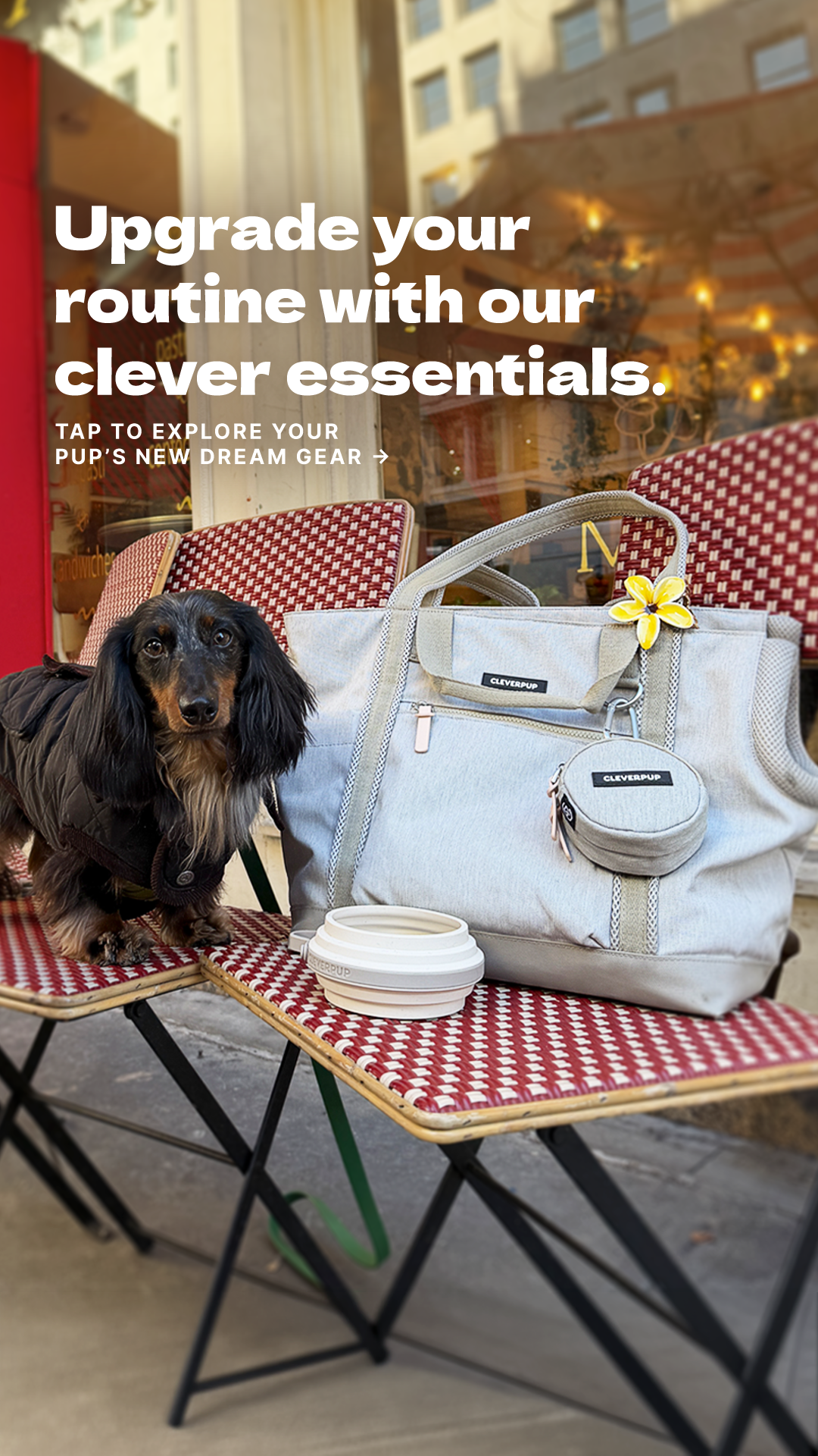 Cleverpup Facebook ad