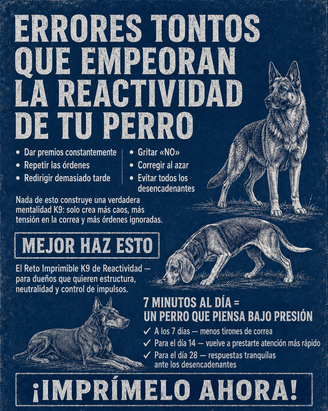 Reactive Dogs Club Facebook ad
