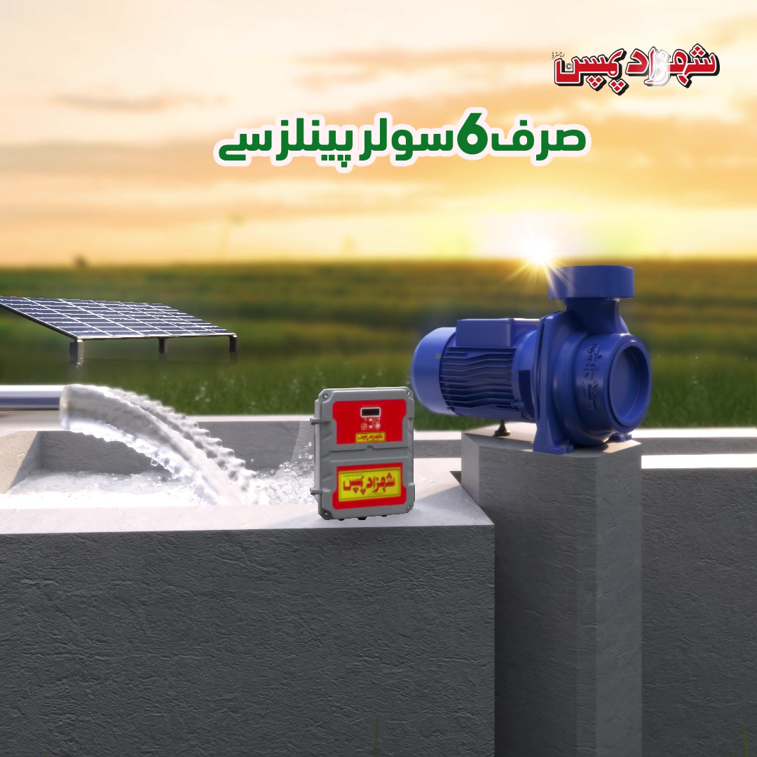 Shahzad Pumps Facebook ad from Jun 24, 2025