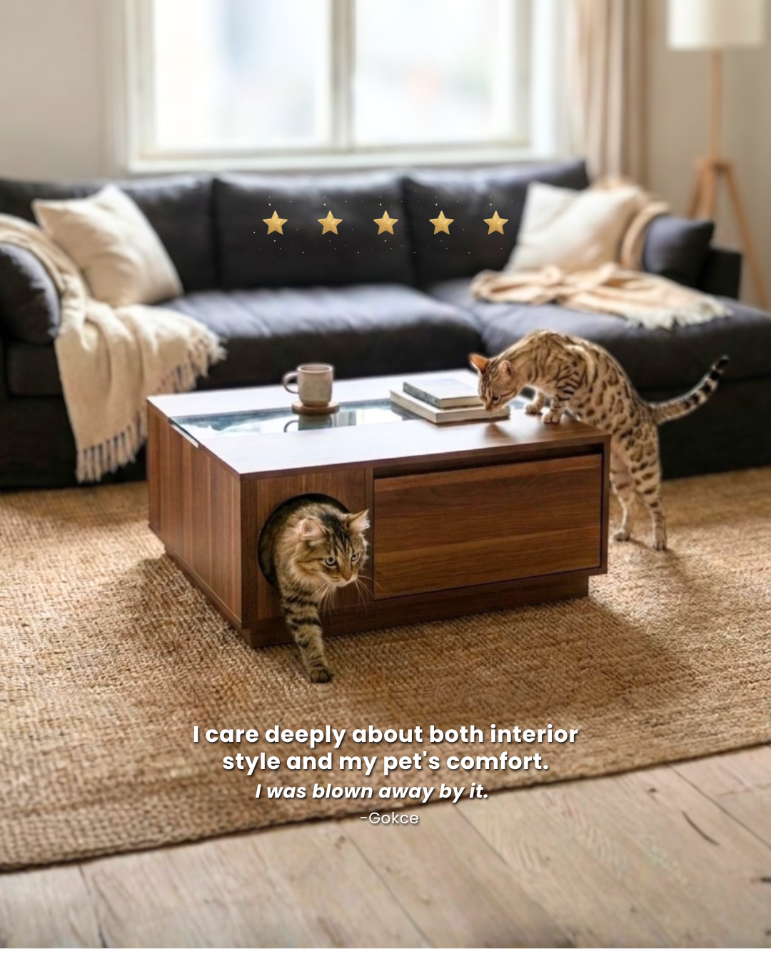 4 Cats & Dogs Home Furnishings Facebook ad