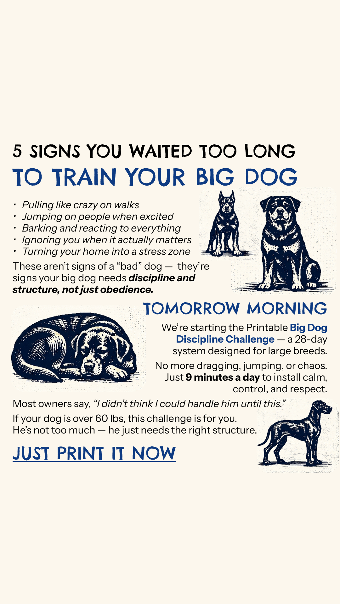 Dog Training Tips Facebook ad: Start Big Dog Discipline Challenge