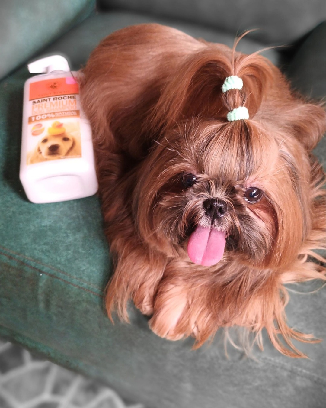 Saint Roche Premium Dog Shampoo Facebook ad