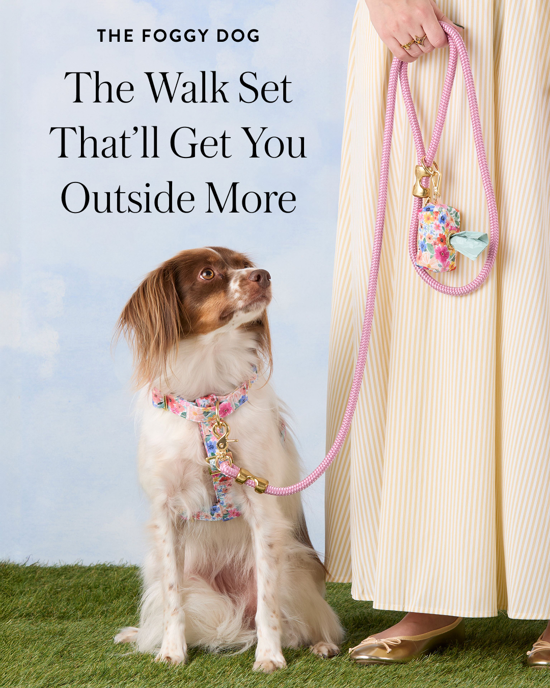 The Foggy Dog Facebook ad