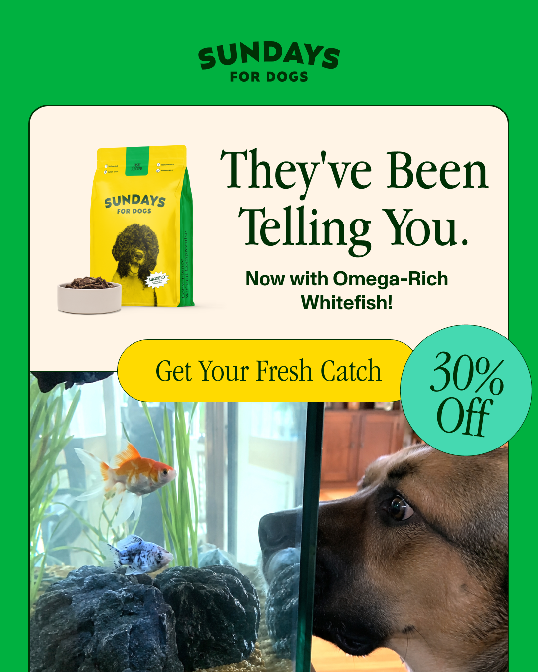 Sundays Facebook ad