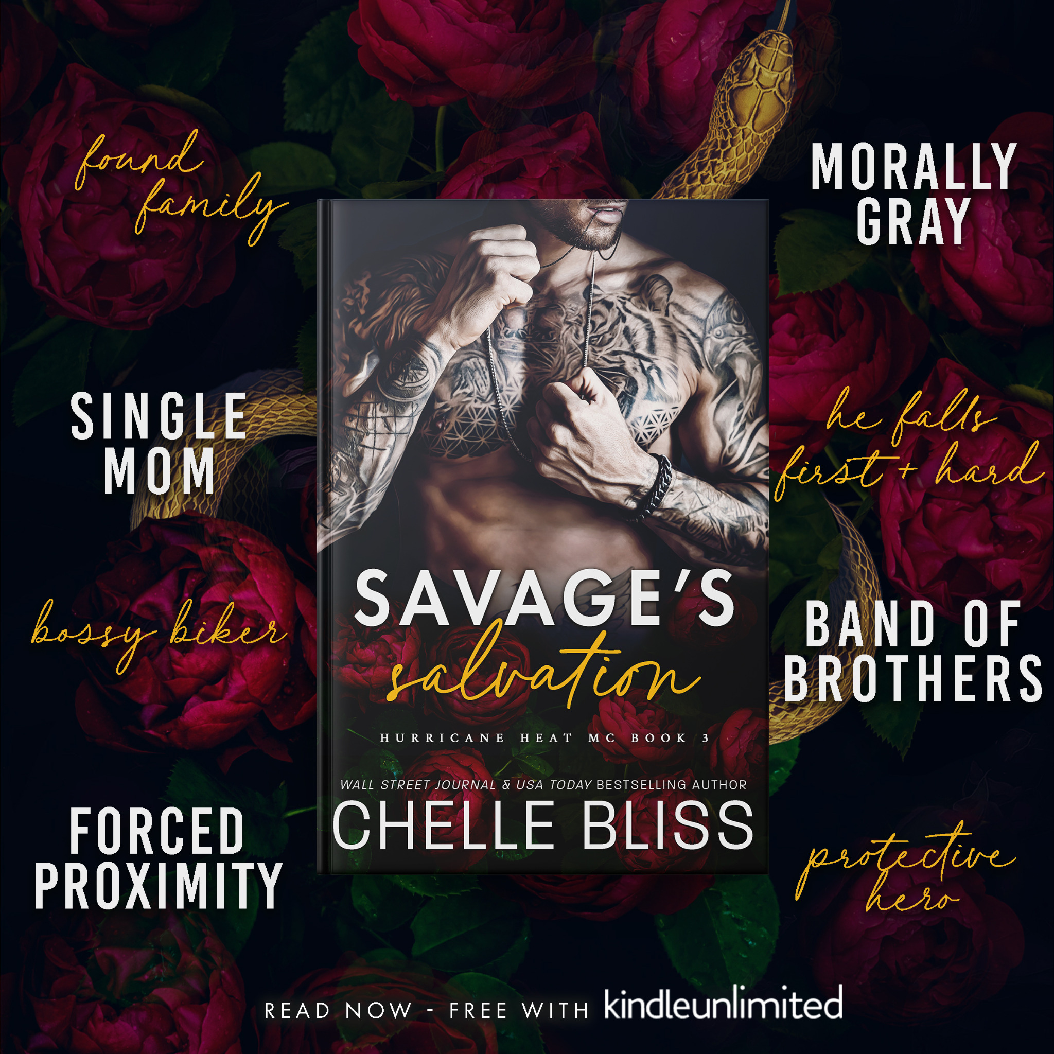 Author Chelle Bliss Facebook ad