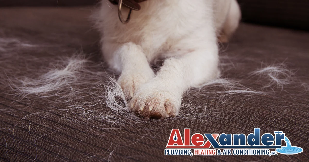 Alexander Plumbing, Heating & Air Conditioning, Inc. Facebook ad