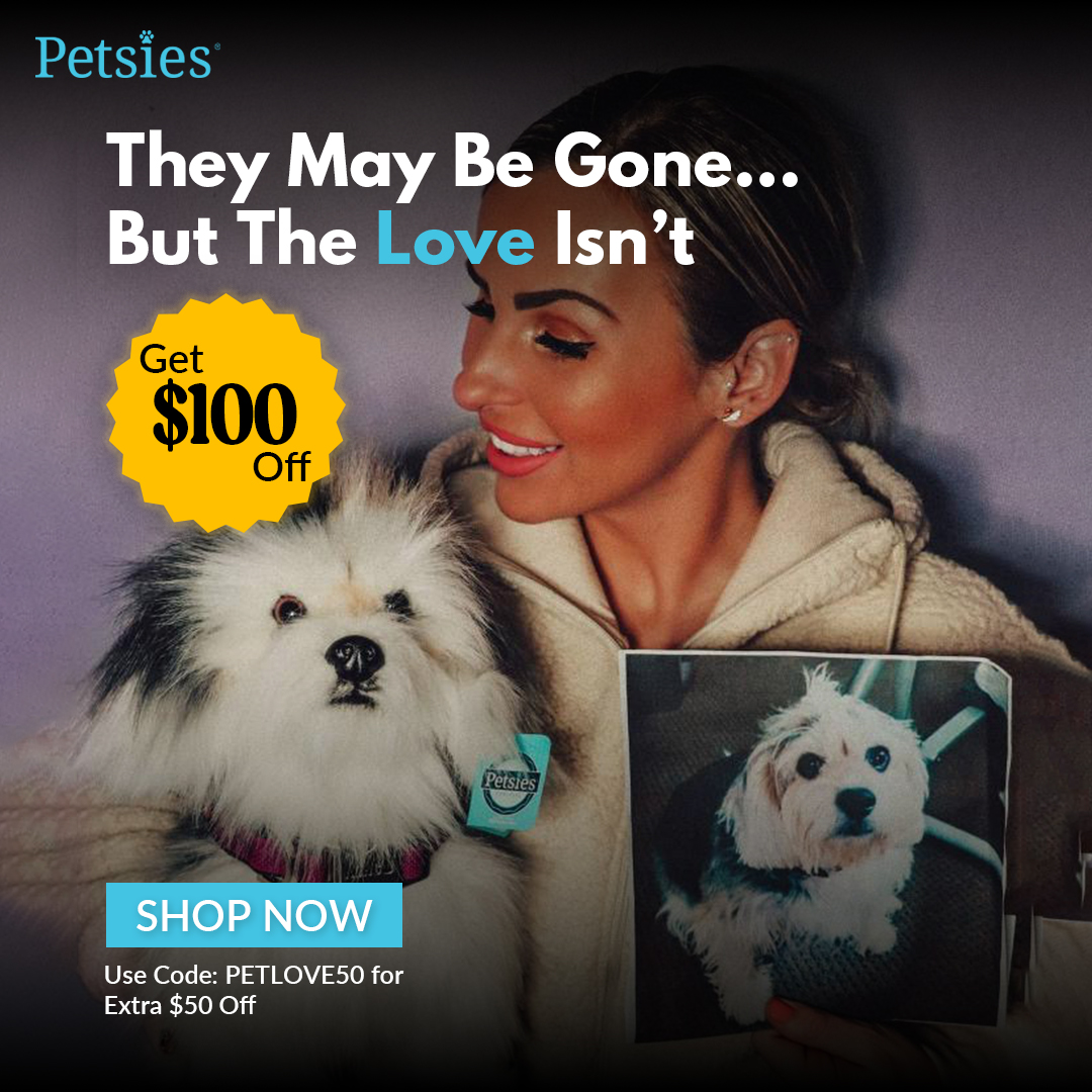 Petsies Facebook ad