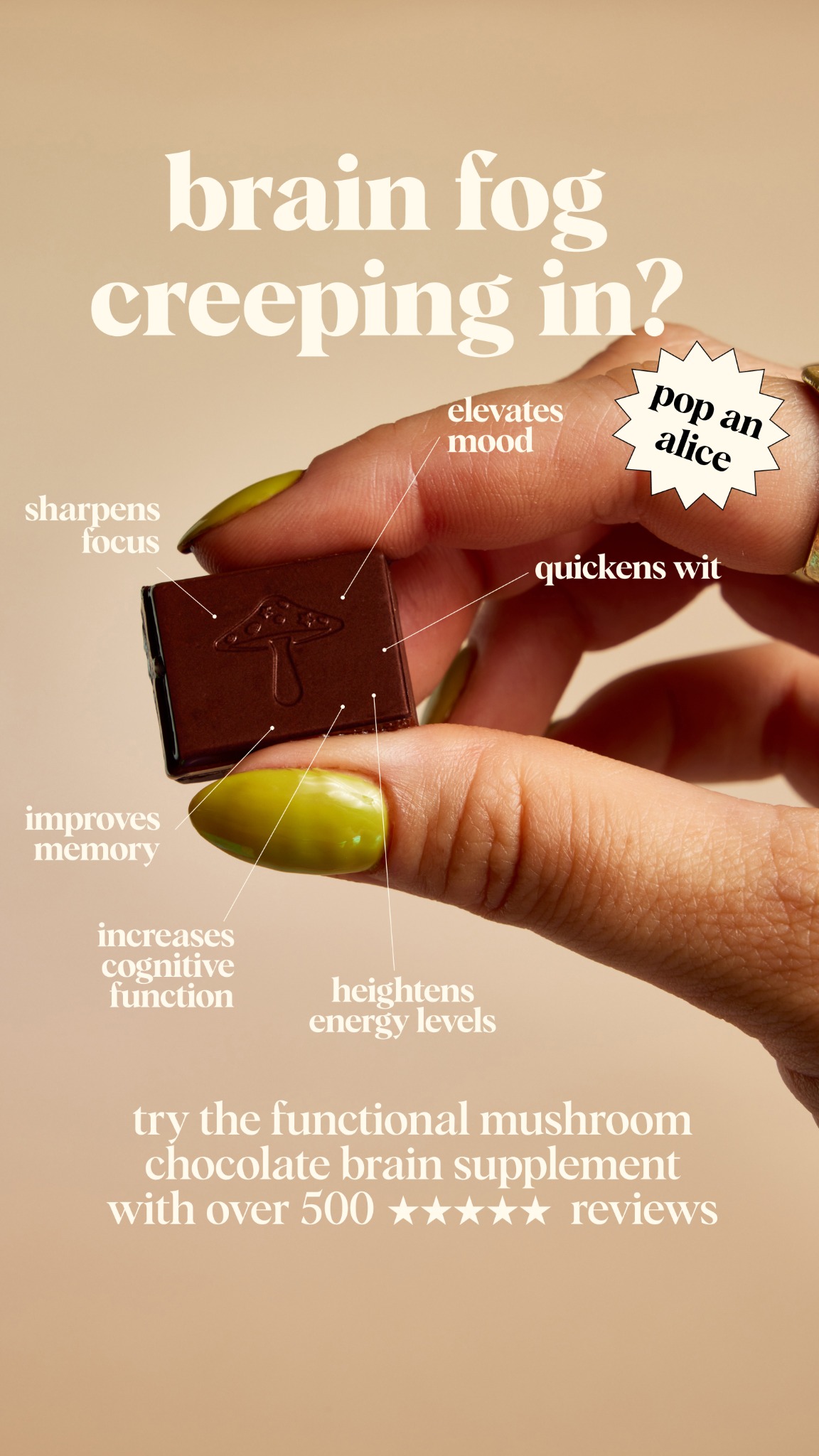 Alice Mushrooms Facebook ad