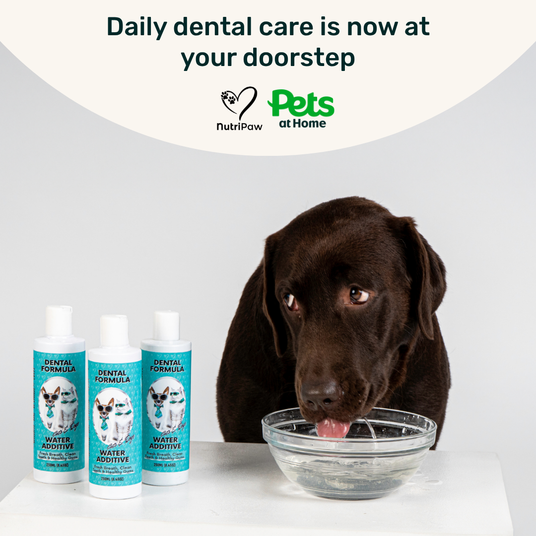 Nutri Paw Facebook ad: Pop in, pick up NutriPaw today