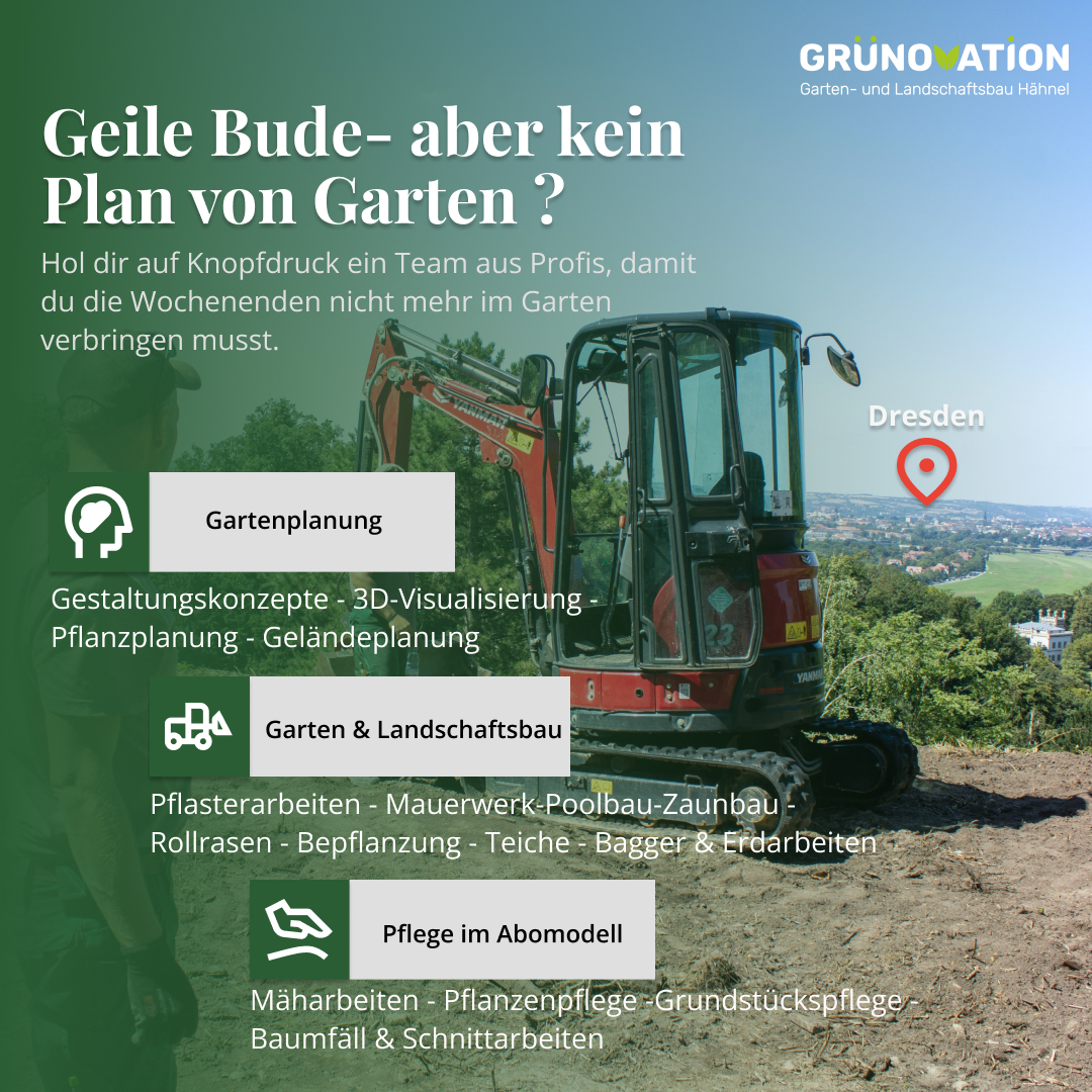 Grünovation GalaBau Hähnel Facebook ad