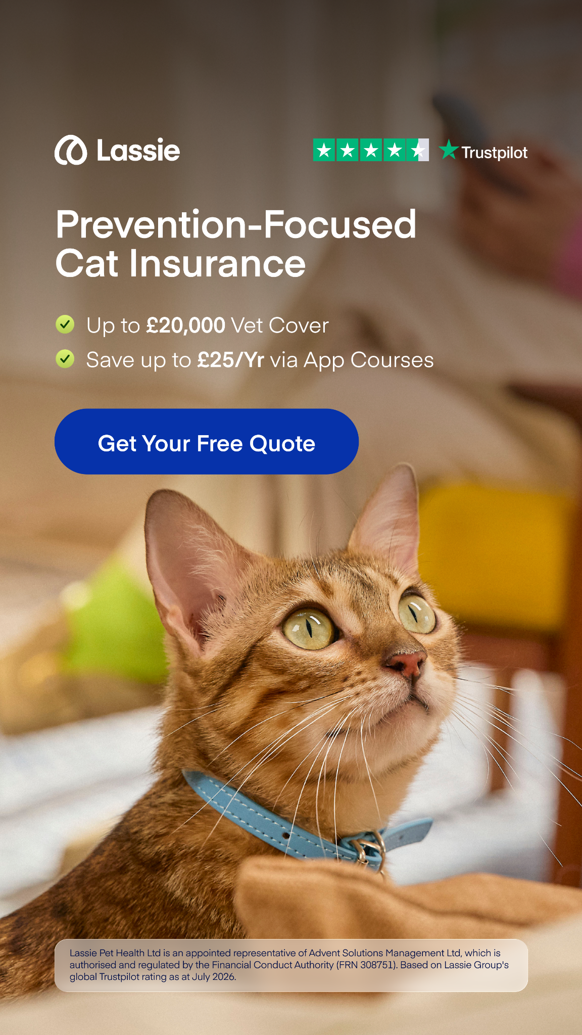 Lassie UK Facebook ad