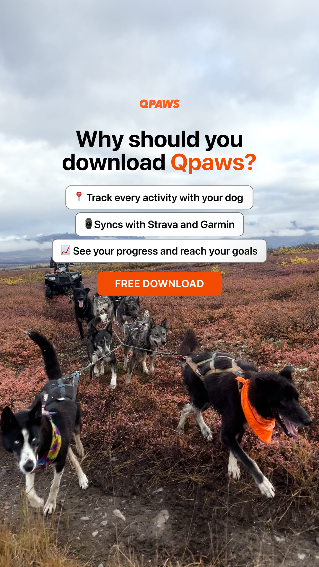 QPAWS Facebook ad