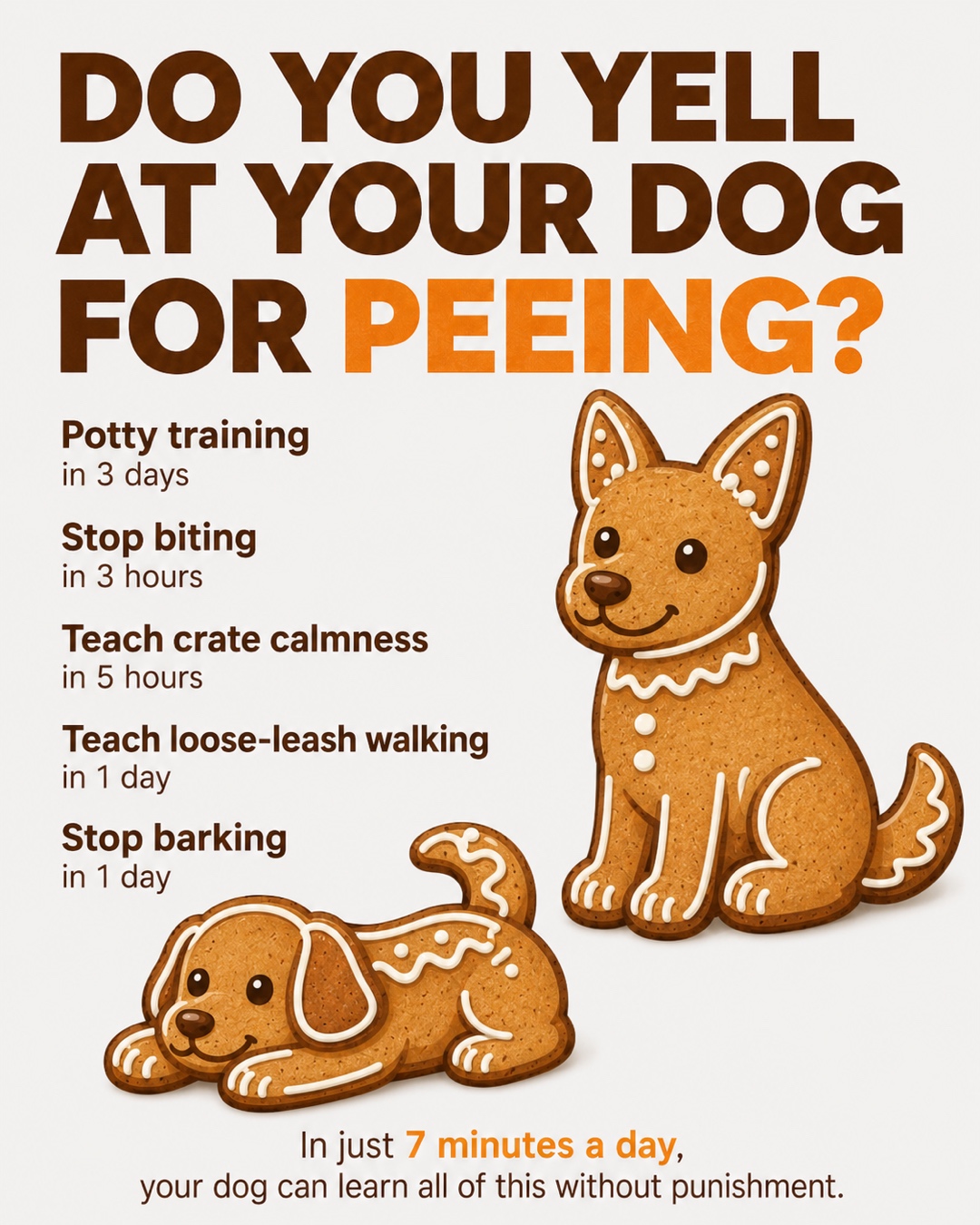 Ben Your Puppy Trainer Facebook ad