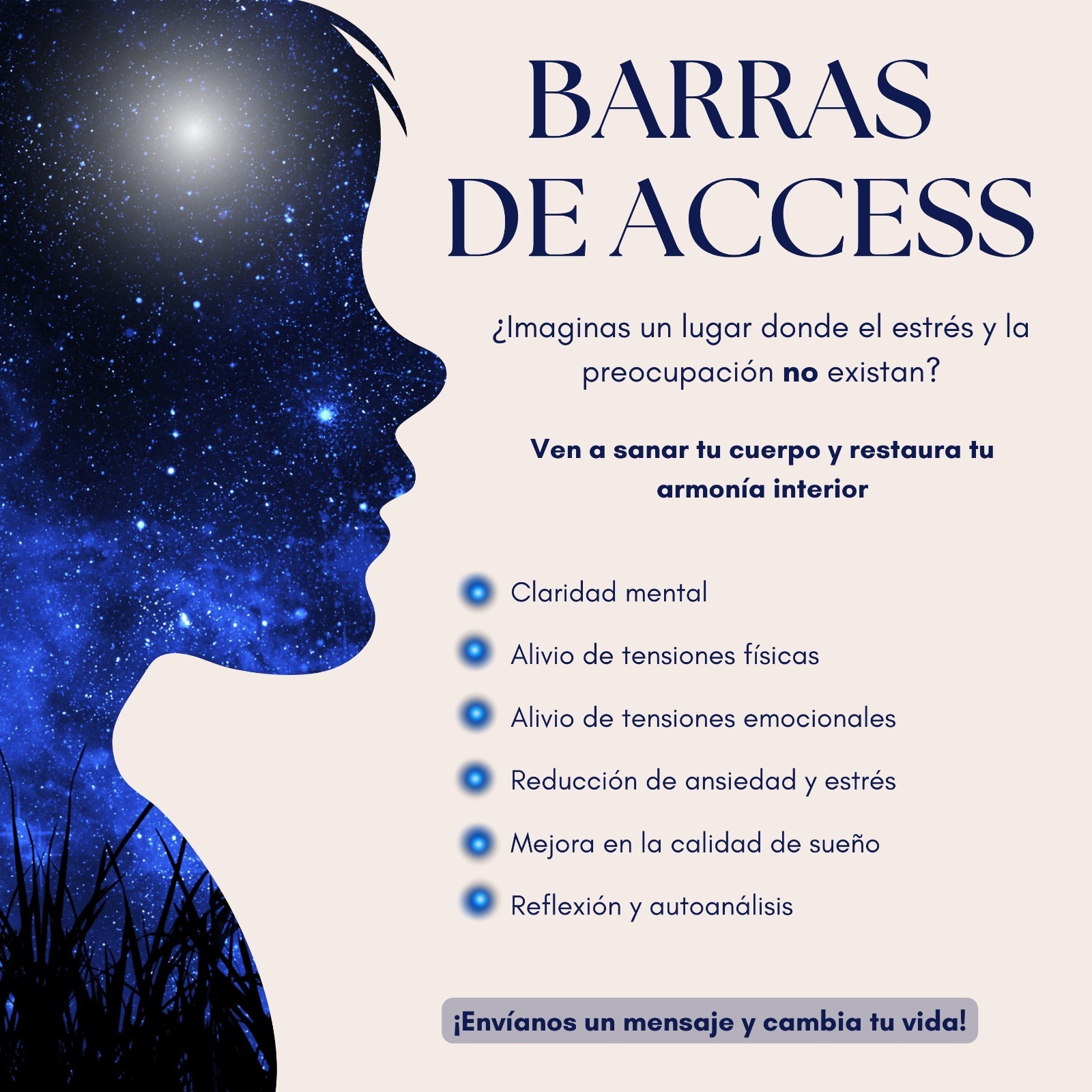 Barras de Access Claudia Ortiz Facebook ad: Paz Mental en Tus Manos