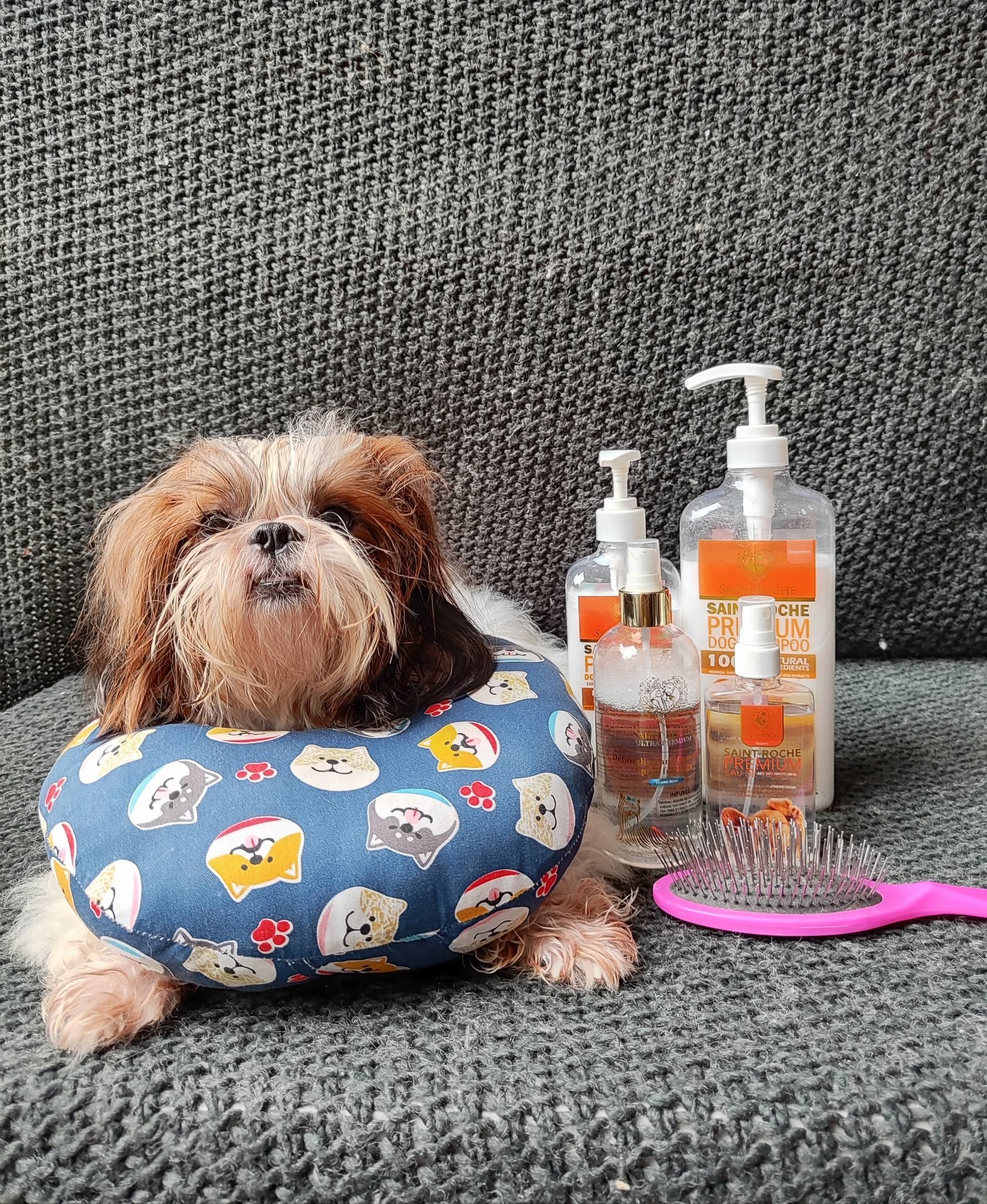 Saint Roche Premium Dog Shampoo Facebook ad